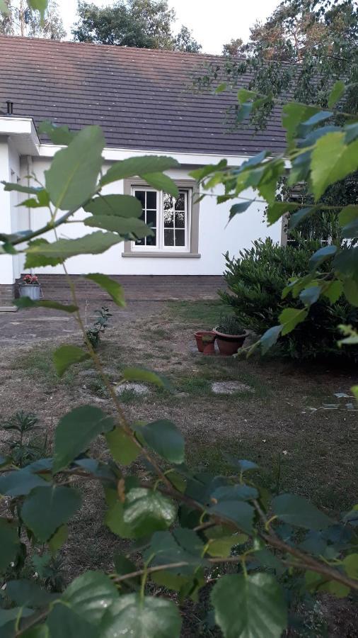 B&B De Tulp Retie Exterior foto